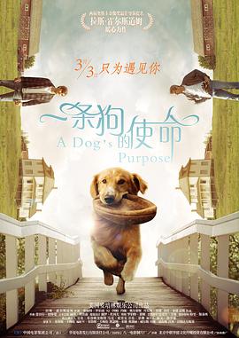 老牌影星迈克尔·道格拉斯与前妻凯瑟琳·泽塔-琼斯自去年离婚后，首度公开牵手亮相，在媒体面前大玩深情对视。